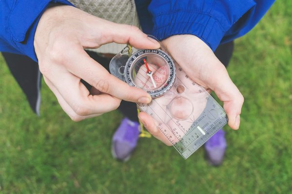 Analyse de données : Décrypter les tendances cachées du marché
