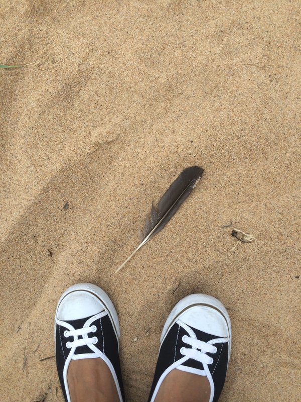 Le futur des connexions sans fil : au-delà du Bluetooth et du WiFi